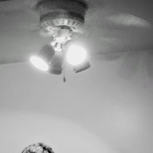 Meet your Posher, Jesse